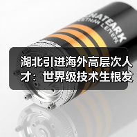 湖北引进海外高层次人才:世界级技术生根发芽(图2) 湖北引进海外高层次人才:世界级技术生根发芽(图2)