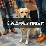 东莞进泰电子有限公司(图2) 东莞进泰电子有限公司(图2)