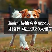 海南加快地方高层次人才培养 将选派20人留学深造(图4) 海南加快地方高层次人才培养 将选派20人留学深造(图4)