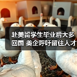 赴美留学生毕业后大多回国 美企呼吁留住人才(图4) 赴美留学生毕业后大多回国 美企呼吁留住人才(图4)