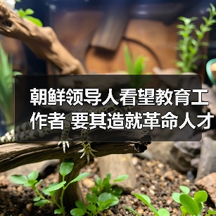 朝鲜领导人看望教育工作者 要其造就革命人才(图3) 朝鲜领导人看望教育工作者 要其造就革命人才(图3)