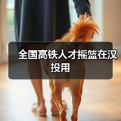全国高铁人才摇篮在汉投用(图2) 全国高铁人才摇篮在汉投用(图2)