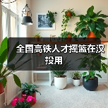 全国高铁人才摇篮在汉投用(图1) 全国高铁人才摇篮在汉投用(图1)
