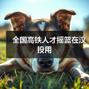 全国高铁人才摇篮在汉投用(图4) 全国高铁人才摇篮在汉投用(图4)