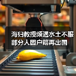 海归教授频遇水土不服 部分人因户籍再出国(图2) 海归教授频遇水土不服 部分人因户籍再出国(图2)