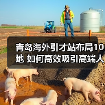 青岛海外引才站布局10地 如何高效吸引高端人才?(图1) 青岛海外引才站布局10地 如何高效吸引高端人才?(图1)