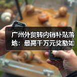 广州外贸转内销补贴落地：最高千万元奖励如何助力企业转型？（图1）