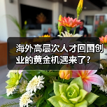 海外高层次人才回国创业的黄金机遇来了？（图2）