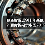 薪资增幅或创十年新低?麦肯锡揭示中国2015就业挑战(图1) 薪资增幅或创十年新低?麦肯锡揭示中国2015就业挑战(图1)