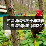 薪资增幅或创十年新低?麦肯锡揭示中国2015就业挑战(图4) 薪资增幅或创十年新低?麦肯锡揭示中国2015就业挑战(图4)