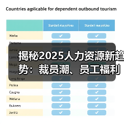 揭秘2025人力资源新趋势:裁员潮、员工福利改革与竞业政策调整(图4) 揭秘2025人力资源新趋势:裁员潮、员工福利改革与竞业政策调整(图4)