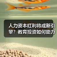 人力资本红利将成新引擎？教育投资如何助力转型（图3）