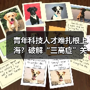 青年科技人才难扎根上海?破解“三高症”关键在哪儿?(图1) 青年科技人才难扎根上海?破解“三高症”关键在哪儿?(图1)