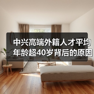 中兴高端外籍人才平均年龄超40岁背后的原因(图2) 中兴高端外籍人才平均年龄超40岁背后的原因(图2)