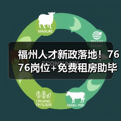 福州人才新政落地！7676岗位+免费租房助毕业生就业（图3）