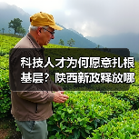 科技人才为何愿意扎根基层？陕西新政释放哪些信号？（图4）
