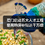 厦门启动五大人才工程 最高购房补贴达千万级（图4）