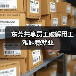 东莞共享员工破解用工难题稳就业（图4）
