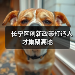 长宁区创新政策打造人才集聚高地（图2）