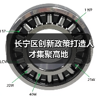 长宁区创新政策打造人才集聚高地（图3）