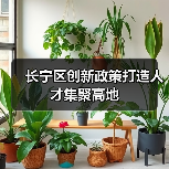 长宁区创新政策打造人才集聚高地（图4）