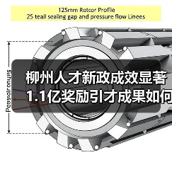 柳州人才新政成效显著 1.1亿奖励引才成果如何？（图3）