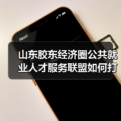 山东胶东经济圈公共就业人才服务联盟如何打造全国吸引力？（图3）
