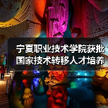 宁夏职业技术学院获批国家技术转移人才培养基地（图2）
