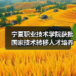宁夏职业技术学院获批国家技术转移人才培养基地（图1）