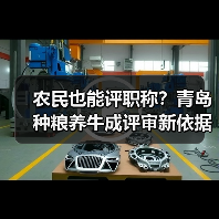 农民也能评职称？青岛种粮养牛成评审新依据（图1）