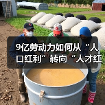9亿劳动力如何从“人口红利”转向“人才红利”?(图4) 9亿劳动力如何从“人口红利”转向“人才红利”?(图4)