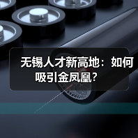 无锡人才新高地:如何吸引金凤凰?(图2) 无锡人才新高地:如何吸引金凤凰?(图2)