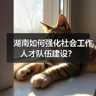 湖南如何强化社会工作人才队伍建设？（图2）