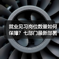 就业见习岗位数量如何保障？七部门最新部署（图1）
