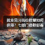 就业见习岗位数量如何保障？七部门最新部署（图4）