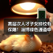 高层次人才子女择校有保障！淄博绿色通道申请全指南（图2）