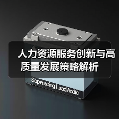 人力资源服务创新与高质量发展策略解析（图2）