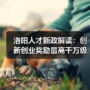 洛阳人才新政解读:创新创业奖励最高千万级(图3) 洛阳人才新政解读:创新创业奖励最高千万级(图3)