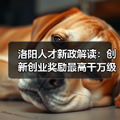 洛阳人才新政解读:创新创业奖励最高千万级(图4) 洛阳人才新政解读:创新创业奖励最高千万级(图4)