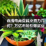 直播电商促就业潜力几何？万亿市场引爆就业新蓝海（图2）