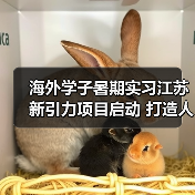 海外学子暑期实习江苏新引力项目启动 打造人才集聚新高地（图1）