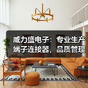 威力盛电子：专业生产端子连接器，品质管理如何提升效率？（图1）
