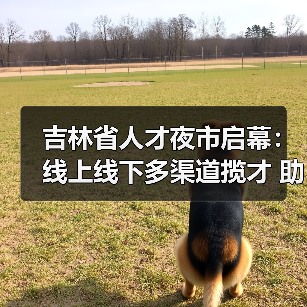吉林省人才夜市启幕:线上线下多渠道揽才 助力就业创业(图1) 吉林省人才夜市启幕:线上线下多渠道揽才 助力就业创业(图1)