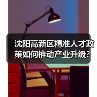 沈阳高新区精准人才政策如何推动产业升级?(图4) 沈阳高新区精准人才政策如何推动产业升级?(图4)