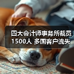 四大会计师事务所裁员1500人 多国客户流失引发行业震荡（图1）