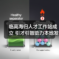 临高海归人才工作站成立 引才引智助力本地发展（图4）