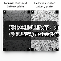 河北体制机制改革：如何促进劳动力社会性流动？（图2）