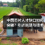 中国芯片人才缺口如何突破？引进挑战与技术瓶颈分析（图4）