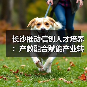 长沙推动信创人才培养：产教融合赋能产业转型（图3）