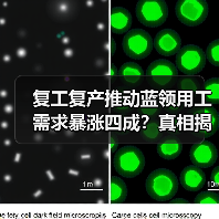 复工复产推动蓝领用工需求暴涨四成?真相揭秘(图2) 复工复产推动蓝领用工需求暴涨四成?真相揭秘(图2)